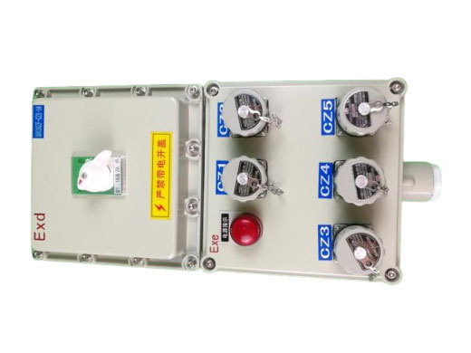 BXX52防爆檢修電源插座箱系列